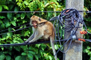 Can You Hear Me Now?