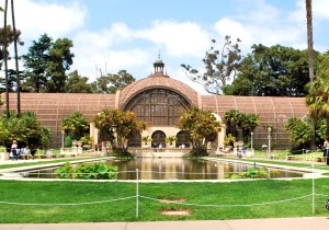 Dog-Friendly San Diego